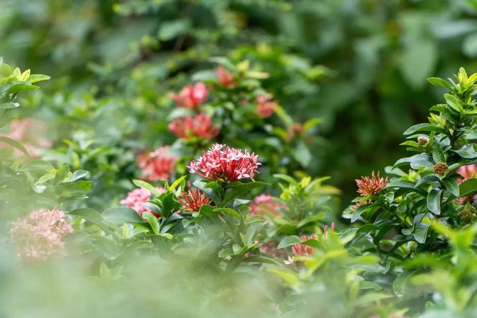 Greens & Outdoors at TOTAL ENVIRONMENT PLOTS YELAHANKA, Bangalore