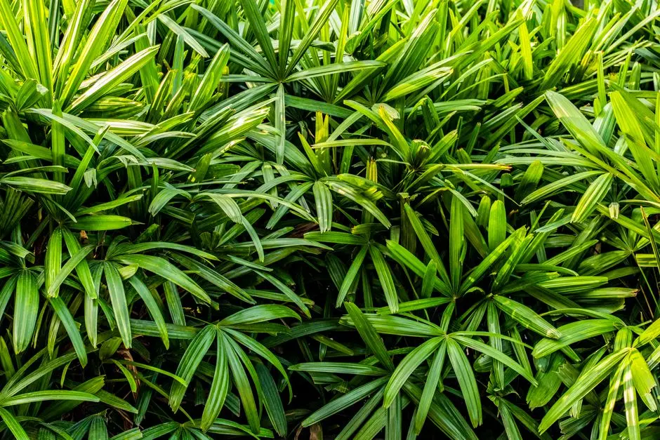 Greens & Outdoors at TOTAL ENVIRONMENT WINDMILLS OF YOUR MIND, Whitefield, Bangalore