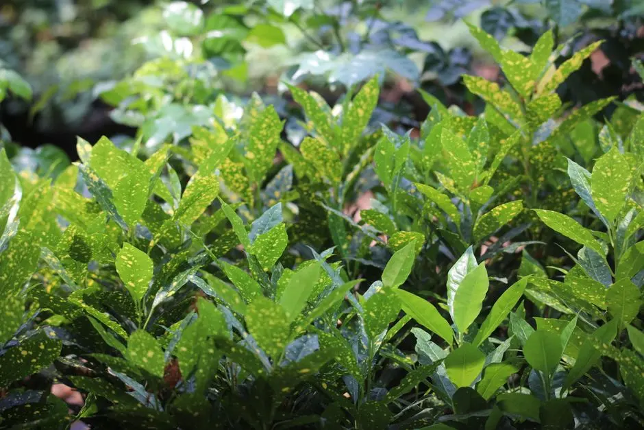 Greens & Outdoors at TOTAL ENVIRONMENT GUNJUR, Bangalore