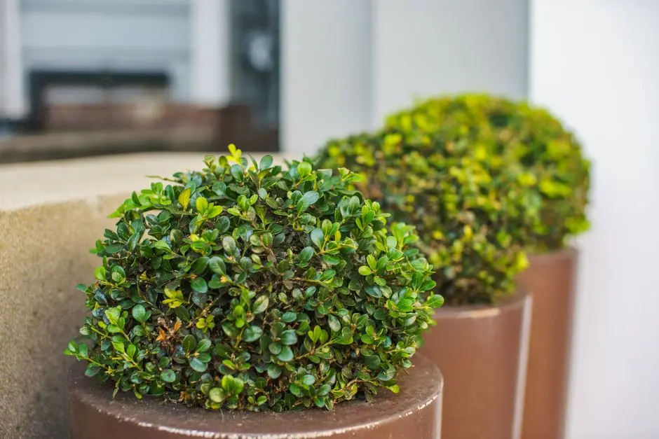 Greens & Outdoors at TOTAL ENVIRONMENT PLOTS SARJAPUR, Bangalore
