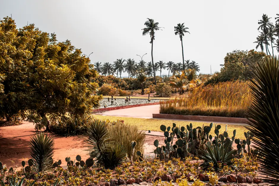 Garden